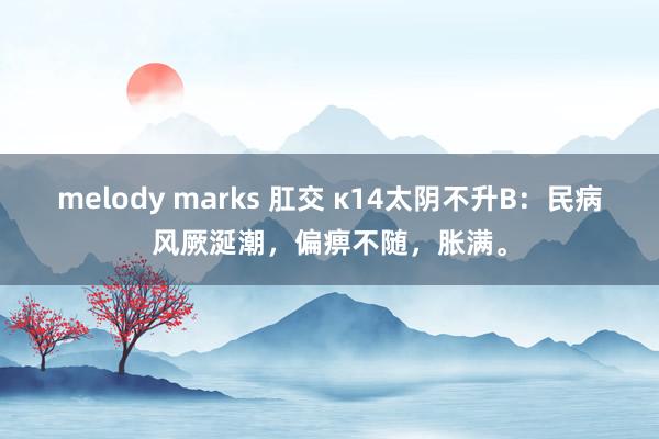 melody marks 肛交 κ14太阴不升B：民病风厥涎潮，偏痹不随，胀满。