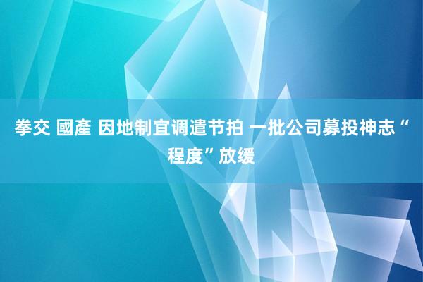 拳交 國產 因地制宜调遣节拍 一批公司募投神志“程度”放缓