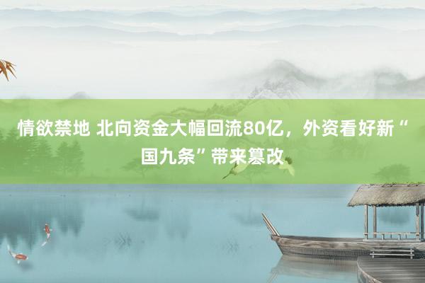 情欲禁地 北向资金大幅回流80亿，外资看好新“国九条”带来篡改