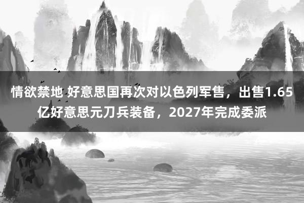 情欲禁地 好意思国再次对以色列军售，出售1.65亿好意思元刀兵装备，2027年完成委派