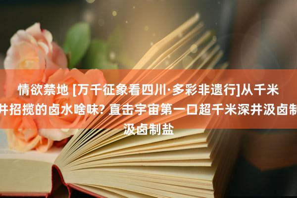 情欲禁地 [万千征象看四川·多彩非遗行]从千米深井招揽的卤水啥味? 直击宇宙第一口超千米深井汲卤制盐