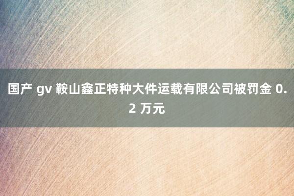 国产 gv 鞍山鑫正特种大件运载有限公司被罚金 0.2 万元