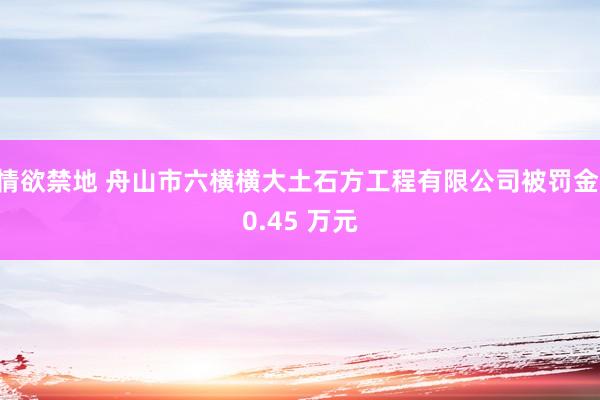 情欲禁地 舟山市六横横大土石方工程有限公司被罚金 0.45 万元