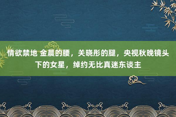 情欲禁地 金晨的腰，关晓彤的腿，央视秋晚镜头下的女星，绰约无比真迷东谈主