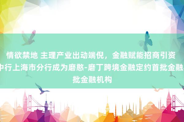 情欲禁地 主理产业出动端倪，金融赋能招商引资 ——中行上海市分行成为磨憨-磨丁跨境金融定约首批金融机构