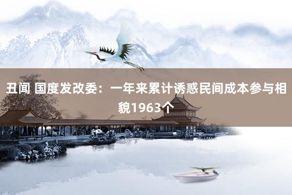 丑闻 国度发改委：一年来累计诱惑民间成本参与相貌1963个