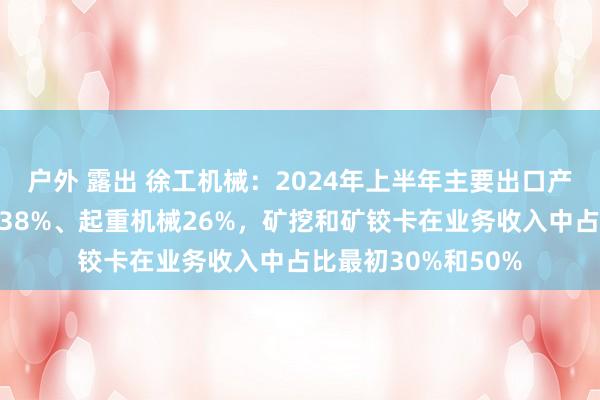 户外 露出 徐工机械：2024年上半年主要出口产物占比，土方机械38%、起重机械26%，矿挖和矿铰卡在业务收入中占比最初30%和50%