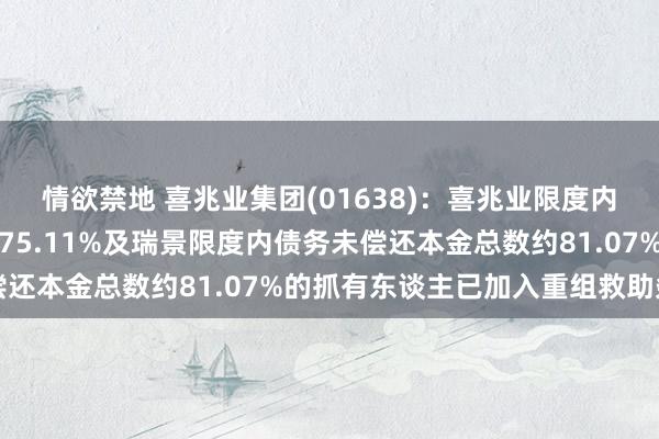 情欲禁地 喜兆业集团(01638)：喜兆业限度内债务未偿还本金总数约75.11%及瑞景限度内债务未偿还本金总数约81.07%的抓有东谈主已加入重组救助条约