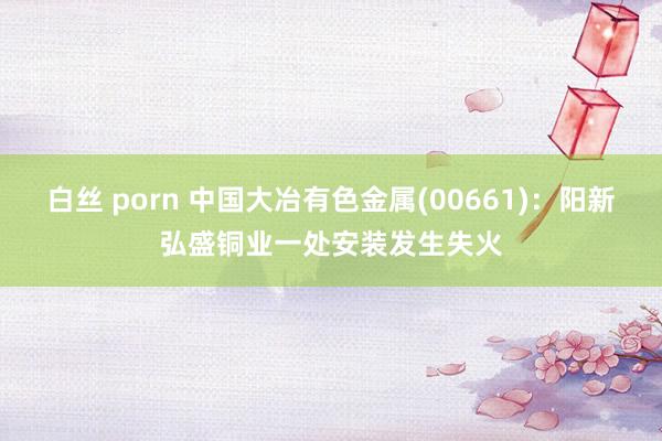 白丝 porn 中国大冶有色金属(00661)：阳新弘盛铜业一处安装发生失火