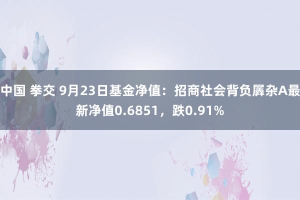 中国 拳交 9月23日基金净值：招商社会背负羼杂A最新净值0.6851，跌0.91%