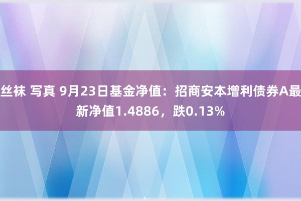 丝袜 写真 9月23日基金净值：招商安本增利债券A最新净值1.4886，跌0.13%