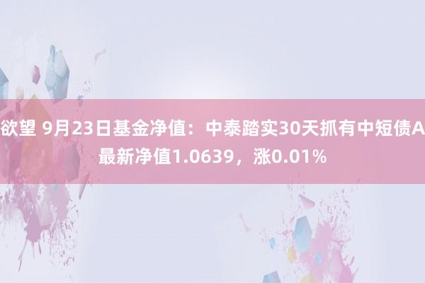 欲望 9月23日基金净值：中泰踏实30天抓有中短债A最新净值1.0639，涨0.01%