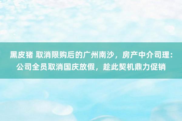 黑皮猪 取消限购后的广州南沙，房产中介司理：公司全员取消国庆放假，趁此契机鼎力促销