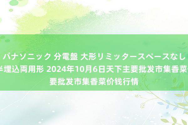 パナソニック 分電盤 大形リミッタースペースなし 露出・半埋込両用形 2024年10月6日天下主要批发市集香菜价钱行情