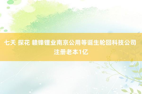 七天 探花 赣锋锂业南京公用等诞生轮回科技公司 注册老本1亿