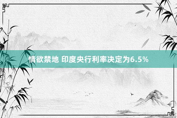 情欲禁地 印度央行利率决定为6.5%