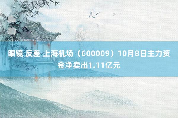 眼镜 反差 上海机场（600009）10月8日主力资金净卖出1.11亿元