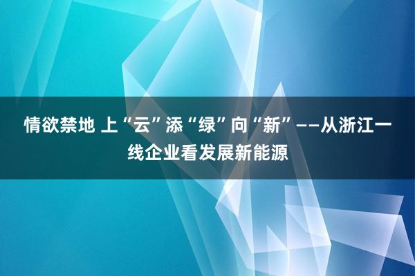 情欲禁地 上“云”添“绿”向“新”——从浙江一线企业看发展新能源