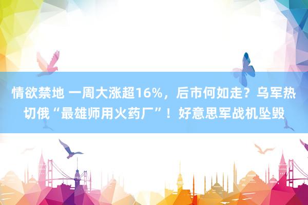 情欲禁地 一周大涨超16%，后市何如走？乌军热切俄“最雄师用火药厂”！好意思军战机坠毁