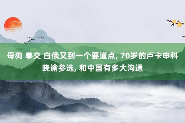 母狗 拳交 白俄又到一个要道点， 70岁的卢卡申科晓谕参选， 和中国有多大沟通