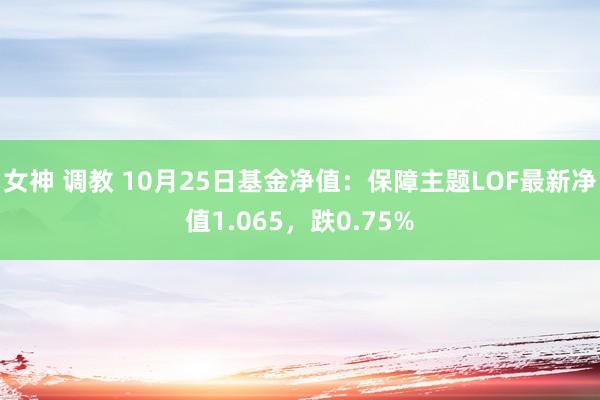 女神 调教 10月25日基金净值：保障主题LOF最新净值1.065，跌0.75%