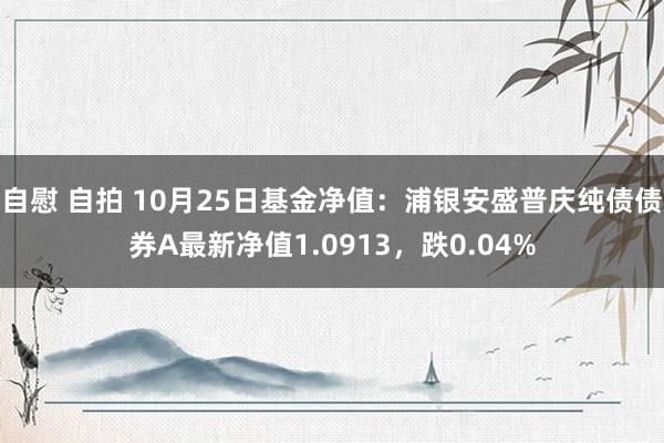 自慰 自拍 10月25日基金净值：浦银安盛普庆纯债债券A最新净值1.0913，跌0.04%