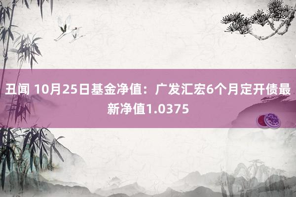 丑闻 10月25日基金净值：广发汇宏6个月定开债最新净值1.0375