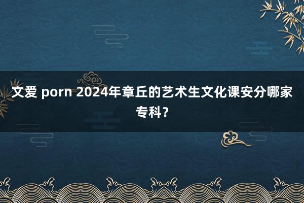 文爱 porn 2024年章丘的艺术生文化课安分哪家专科？