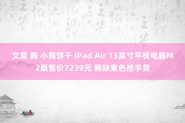 文爱 胸 小熊饼干 iPad Air 13英寸平板电脑M2版售价7239元 稀缺紫色抢手货