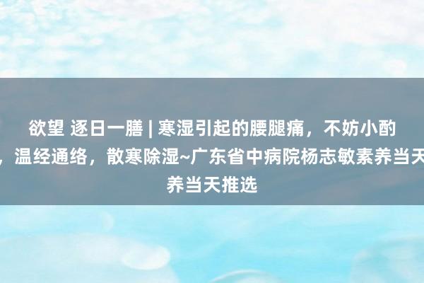 欲望 逐日一膳 | 寒湿引起的腰腿痛，不妨小酌一杯，温经通络，散寒除湿~广东省中病院杨志敏素养当天推选