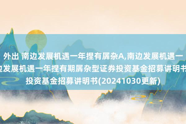 外出 南边发展机遇一年捏有羼杂A，南边发展机遇一年捏有羼杂C: 南边发展机遇一年捏有期羼杂型证券投资基金招募讲明书(20241030更新)