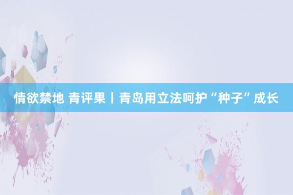 情欲禁地 青评果丨青岛用立法呵护“种子”成长