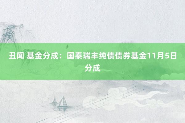 丑闻 基金分成：国泰瑞丰纯债债券基金11月5日分成