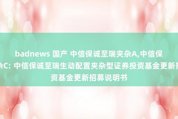 badnews 国产 中信保诚至瑞夹杂A，中信保诚至瑞夹杂C: 中信保诚至瑞生动配置夹杂型证券投资基金更新招募说明书