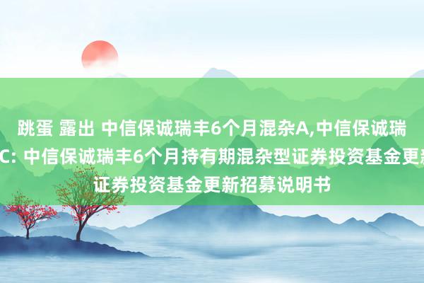 跳蛋 露出 中信保诚瑞丰6个月混杂A，中信保诚瑞丰6个月混杂C: 中信保诚瑞丰6个月持有期混杂型证券投资基金更新招募说明书