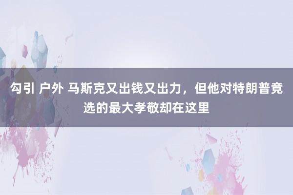 勾引 户外 马斯克又出钱又出力，但他对特朗普竞选的最大孝敬却在这里