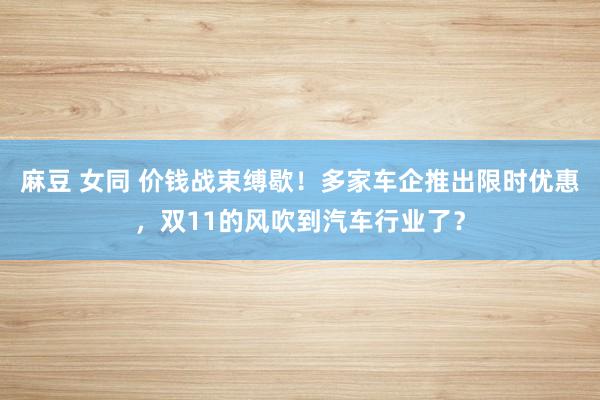 麻豆 女同 价钱战束缚歇！多家车企推出限时优惠，双11的风吹到汽车行业了？