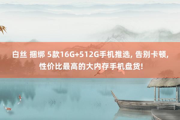 白丝 捆绑 5款16G+512G手机推选， 告别卡顿， 性价比最高的大内存手机盘货!