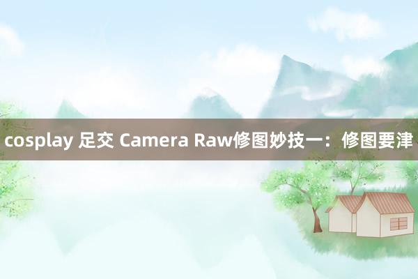 cosplay 足交 Camera Raw修图妙技一：修图要津