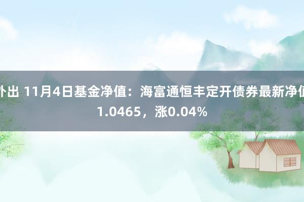 外出 11月4日基金净值：海富通恒丰定开债券最新净值1.0465，涨0.04%