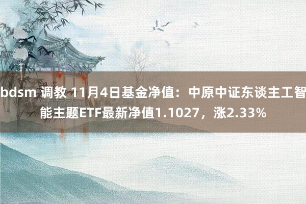 bdsm 调教 11月4日基金净值：中原中证东谈主工智能主题ETF最新净值1.1027，涨2.33%