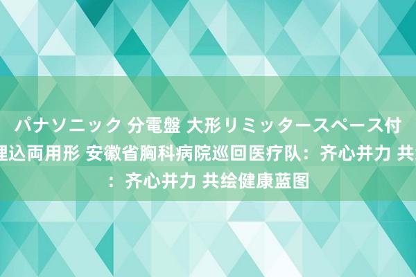 パナソニック 分電盤 大形リミッタースペース付 露出・半埋込両用形 安徽省胸科病院巡回医疗队：齐心并力 共绘健康蓝图