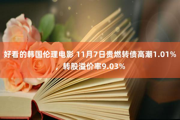 好看的韩国伦理电影 11月7日贵燃转债高潮1.01%，转股溢价率9.03%