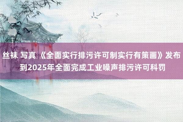 丝袜 写真 《全面实行排污许可制实行有策画》发布 到2025年全面完成工业噪声排污许可科罚