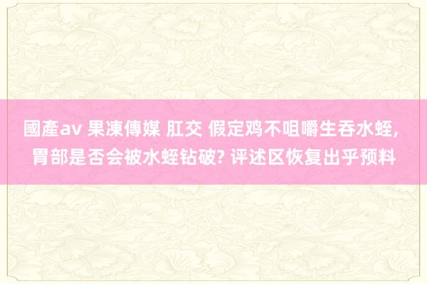 國產av 果凍傳媒 肛交 假定鸡不咀嚼生吞水蛭， 胃部是否会被水蛭钻破? 评述区恢复出乎预料