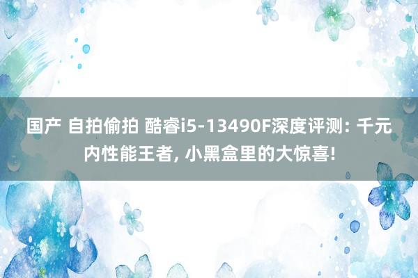 国产 自拍偷拍 酷睿i5-13490F深度评测: 千元内性能王者， 小黑盒里的大惊喜!