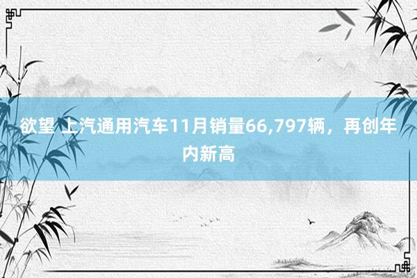 欲望 上汽通用汽车11月销量66，797辆，再创年内新高