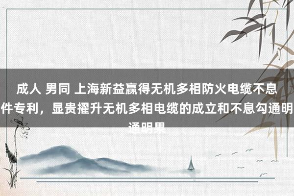 成人 男同 上海新益赢得无机多相防火电缆不息组件专利，显贵擢升无机多相电缆的成立和不息勾通明果