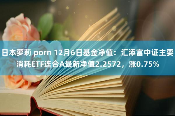 日本萝莉 porn 12月6日基金净值：汇添富中证主要消耗ETF连合A最新净值2.2572，涨0.75%