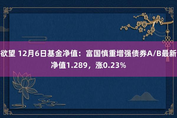 欲望 12月6日基金净值：富国慎重增强债券A/B最新净值1.289，涨0.23%